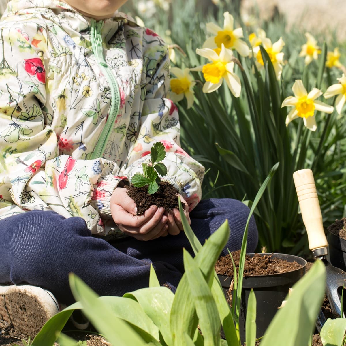 <p data-block-key="q75jd">Tuulinen kevätpäivä muistuttaa siitä, että sääolosuhteet vaikuttavat ratkaisevasti kevättöiden ajoitukseen. (Kuva: Envato)</p>