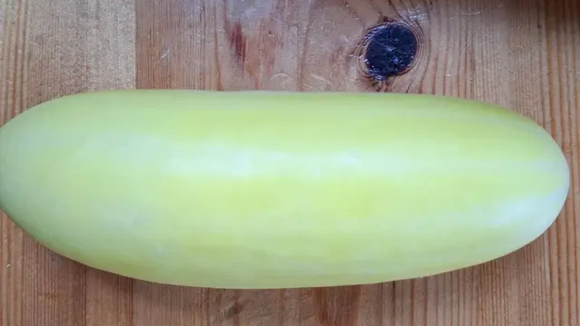 lukijan kuva albiinokurkku