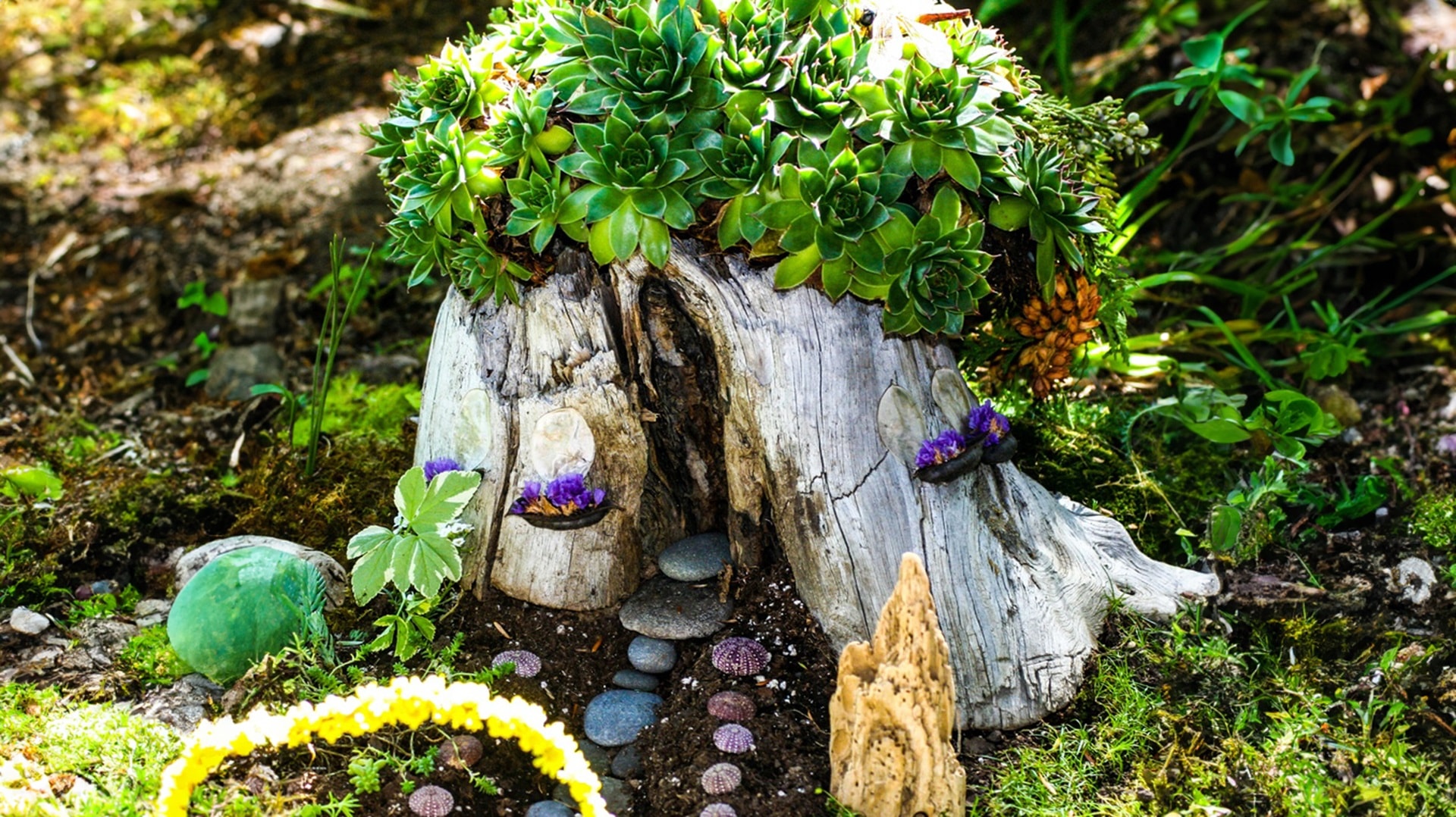 muok_kannossa-keijun-koti-iSt-622280412