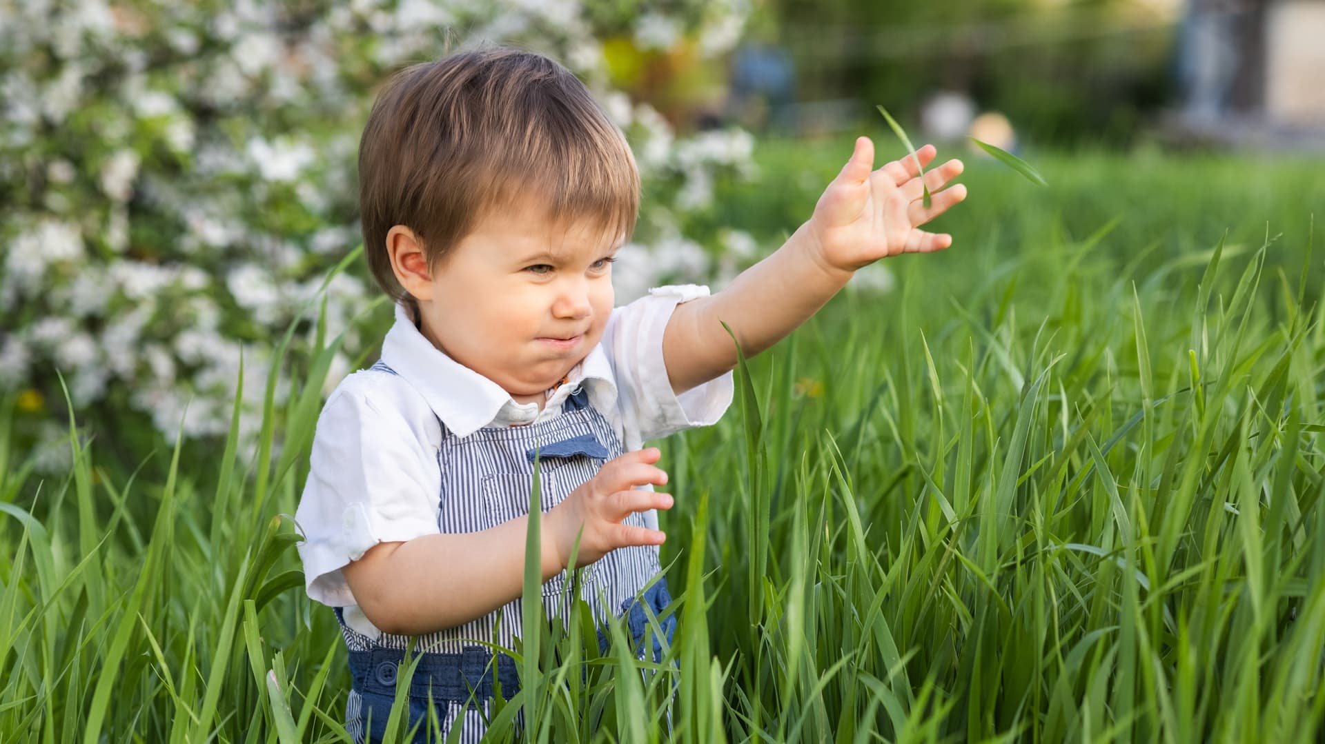 <p data-block-key="29ef4">Huolellinen esikasvatus vähentää taimihävikkiä ja helpottaa kasvien sopeutumista kevään vaihteleviin oloihin. Pieni apuri voi seurata esikasvatusta ja oppia luonnon kiertokulusta samalla, kun taimet vahvistuvat kotona. (Kuva: Envato)</p>