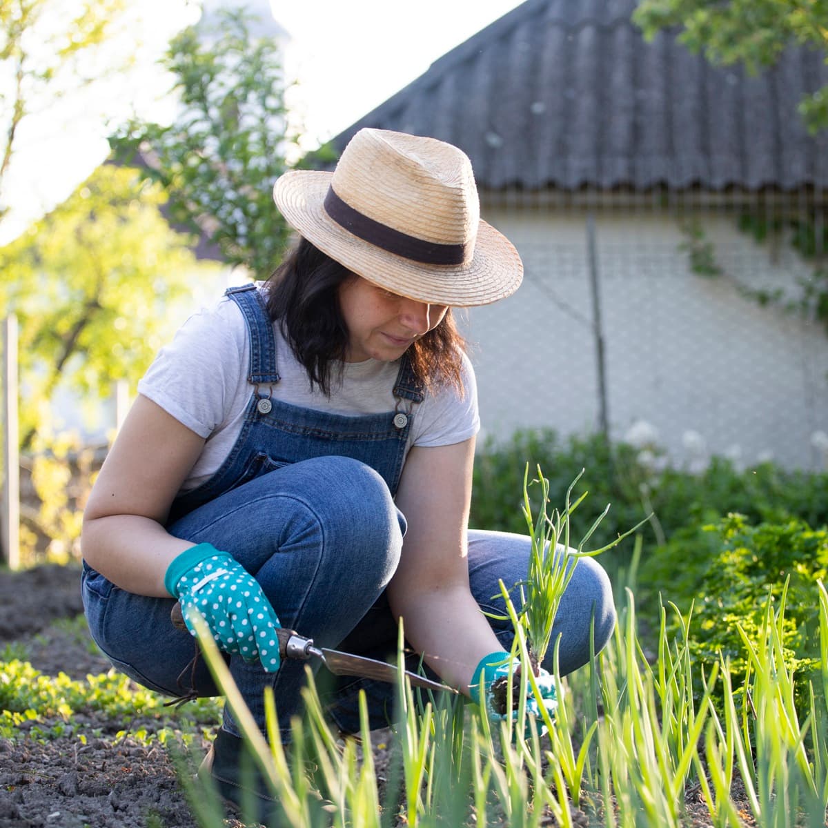 <p data-block-key="pjqif">Keväällä tehtävät kasvivalinnat vaikuttavat pihan hoitotarpeeseen ja ilmeeseen pitkälle tulevaisuuteen. (Kuva: Envato)</p>