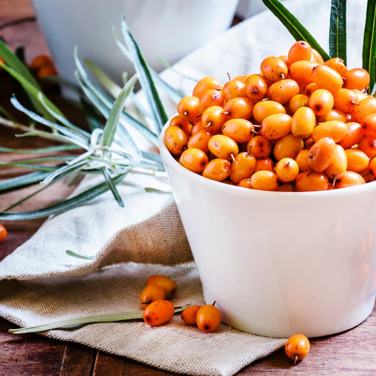 <p data-block-key="uvgmk">(Kuva: Envato)</p>