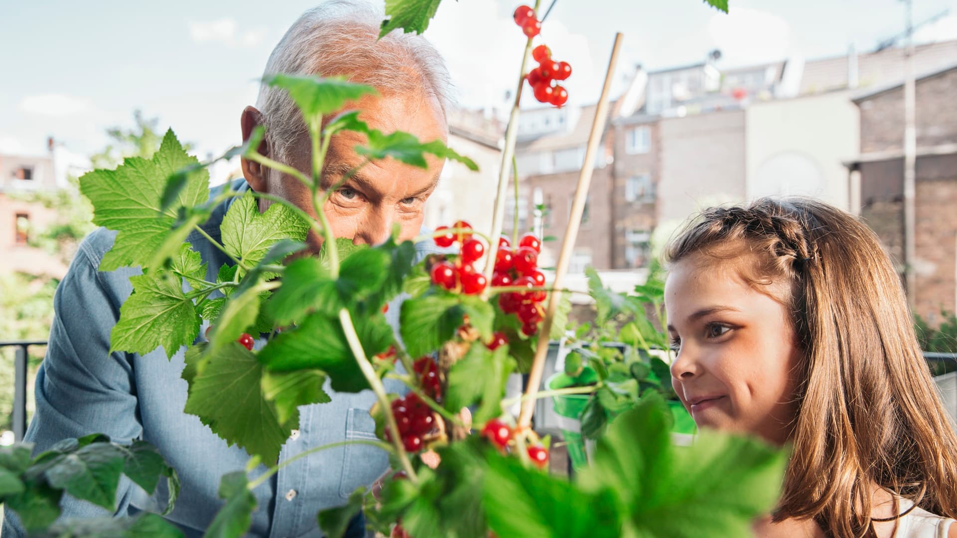 <p data-block-key="rzvmm">Terassin lähelle, aurinkoiseen nurkkaan sijoitettu "hyötypuutarha". Tulee hoidettua ja satoa napsittua!</p>