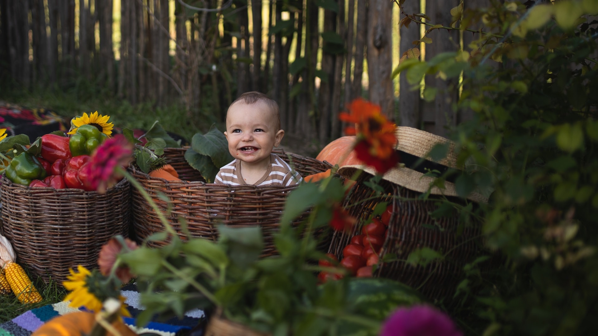 muoklittle-funny-boy-sitting-in-the-autumn-harvest-au