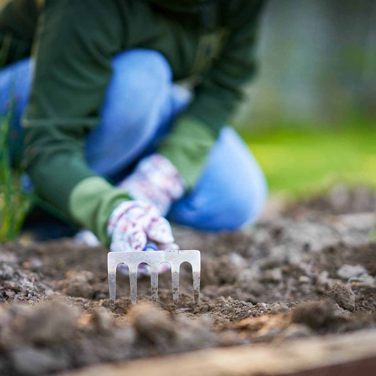 <p data-block-key="usloh">Laadukas multa ja sopivat ruukut tukevat taimien tervettä juuristoa ja tasapainoista kasvua. Tasainen valo ja sopiva lämpötila auttavat taimia kehittymään vahvoiksi ja tukeviksi. (Kuva: Envato)</p>