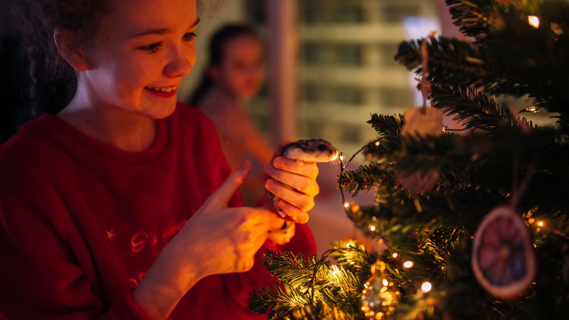 new-year-s-eve-at-home-girl-holding-a-pet-a-ham-2023-11-27-05-31-42-utc