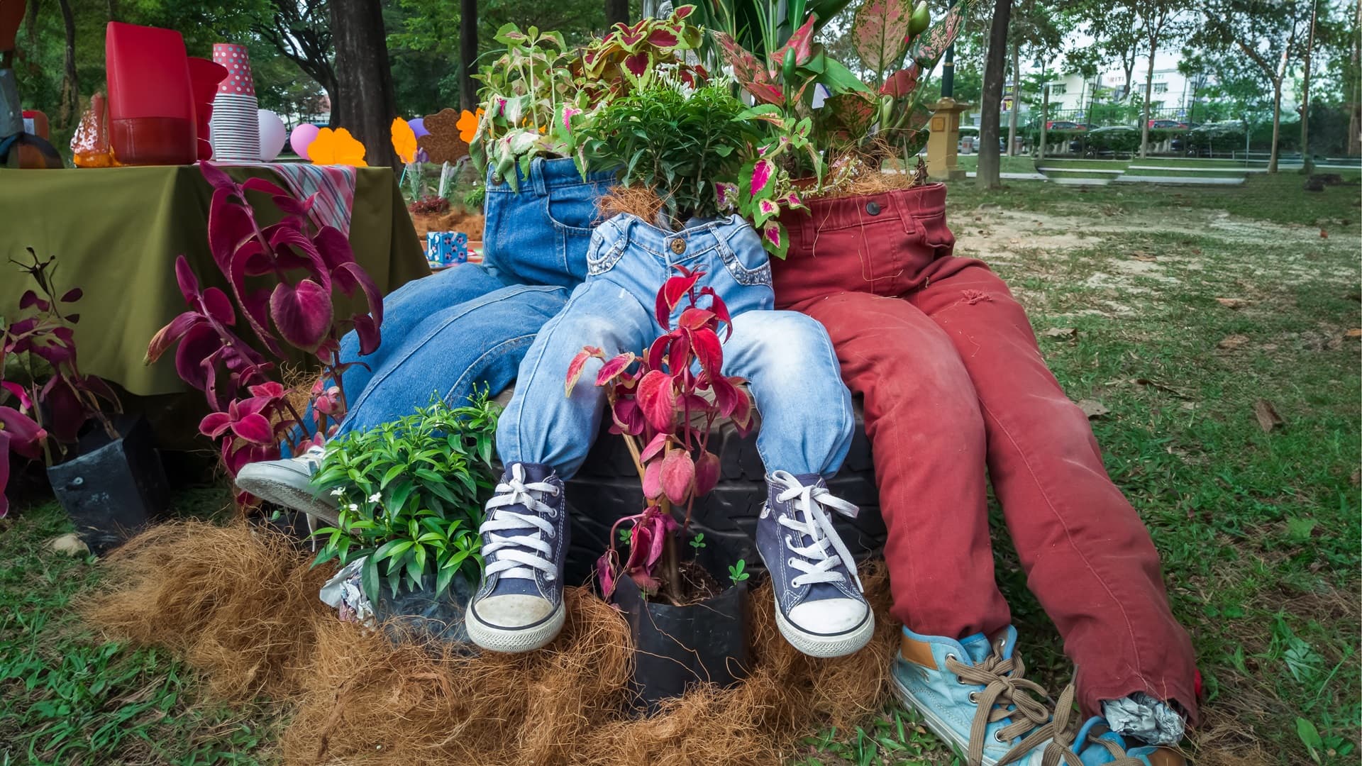 recycling-in-the-garden-old-jeans-became-flower-p-2025-03-07-14-23-36-utc