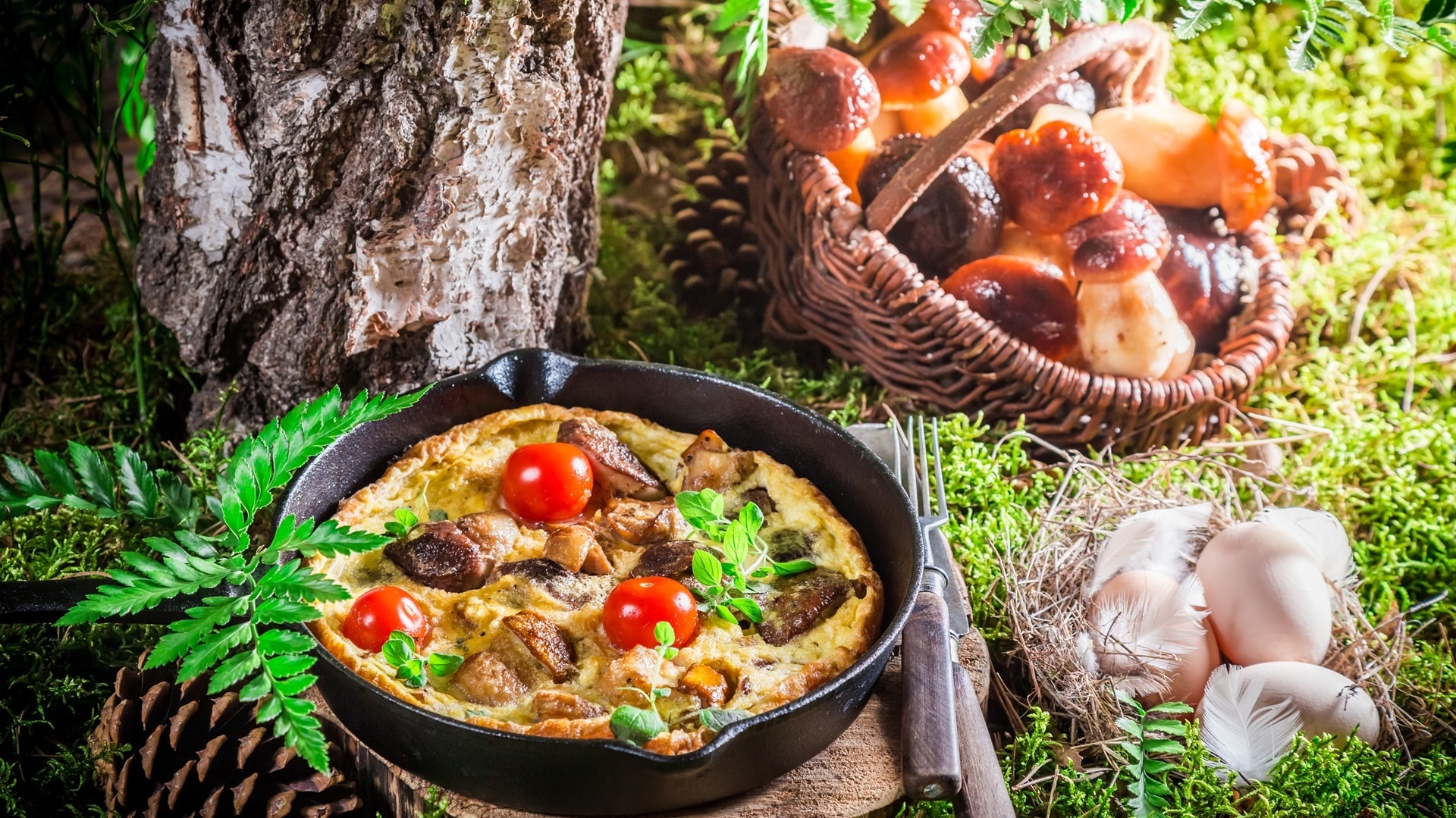 tasty-fried-eggs-on-moss-in-forest-2025-03-24-02-13-03-utc