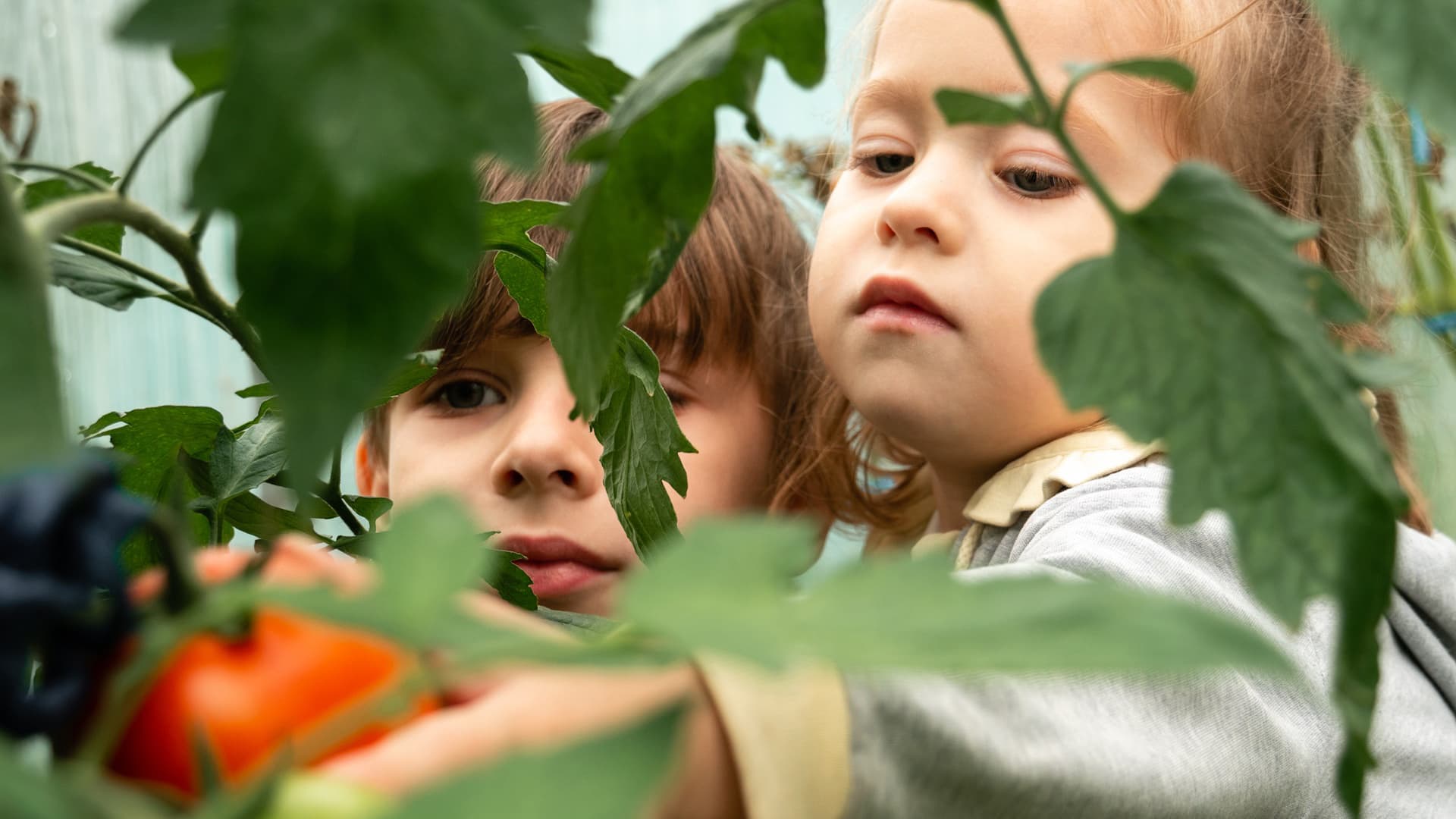 <p data-block-key="kyd1v">Leikki-ikäiset lapset kaipaavat tilaa, jossa luovuus ja leikit voivat kasvaa. (Kuva: Envato)</p>