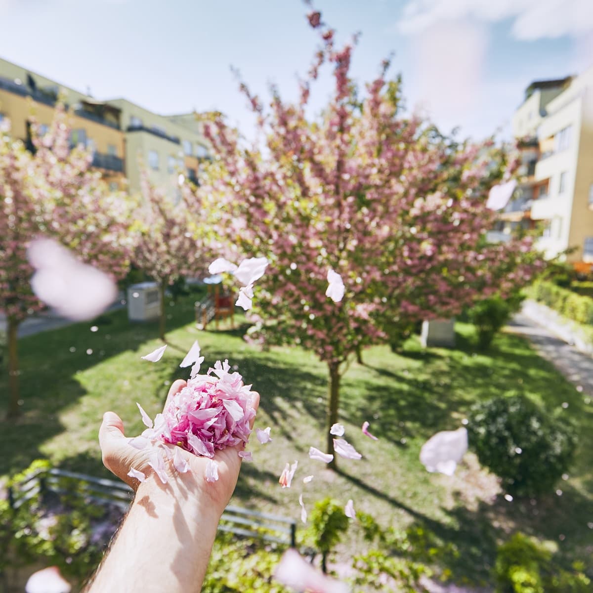 <p data-block-key="t7zyi">Keväinen piha kutsuu hetkeksi pysähtymään ja nauttimaan valosta, joka palaa pitkän talven jälkeen. (Kuva: Envato)</p>