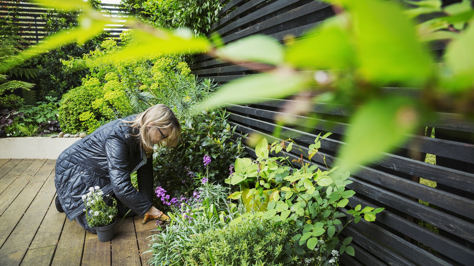 woman-kneeling-on-a-wooden-deck-planting-flower-i-2025-04-03-23-28-59-utc