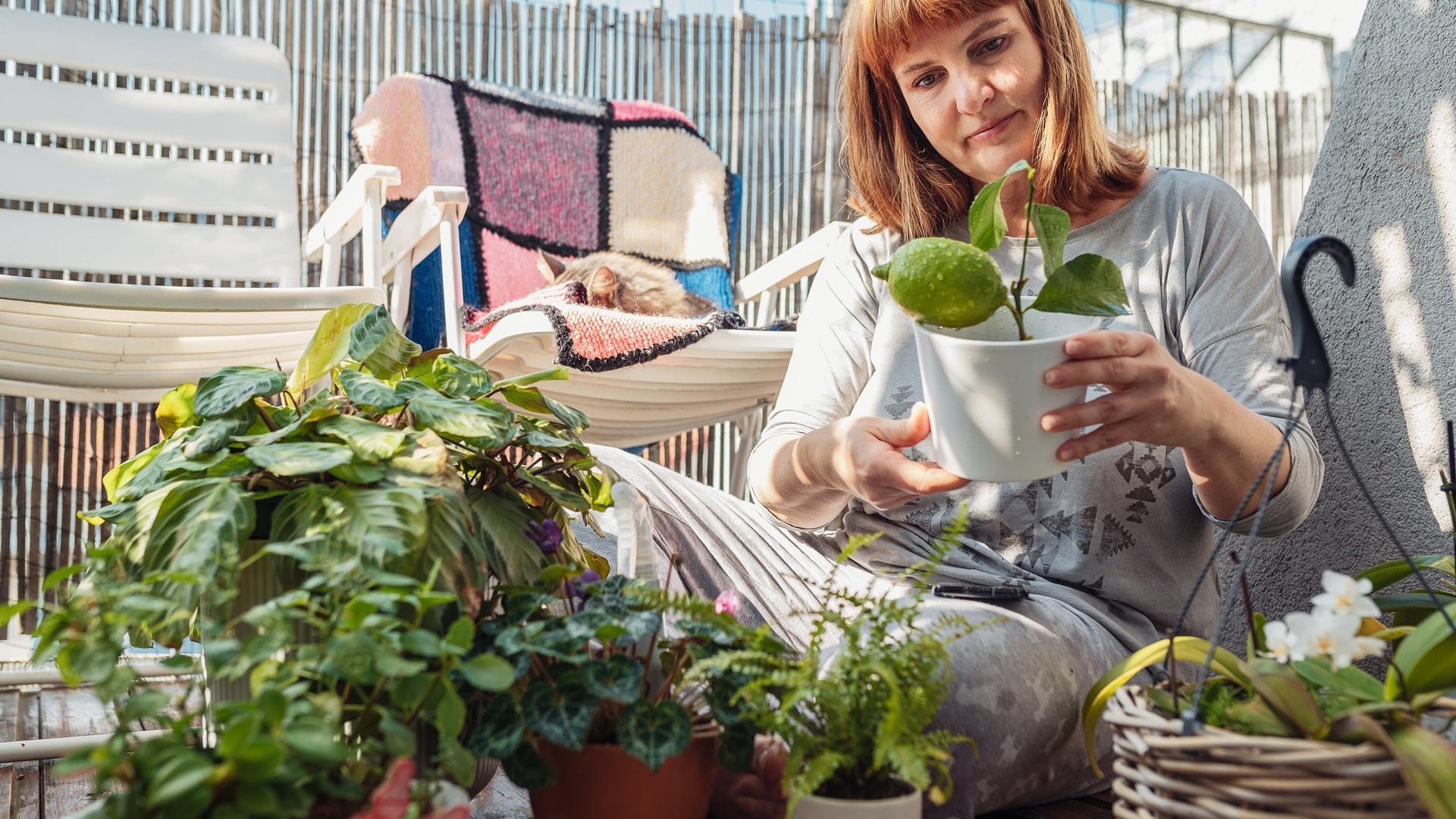 woman-takes-care-of-plants-houseplants-flowerpot-2024-10-14-21-25-46-utc